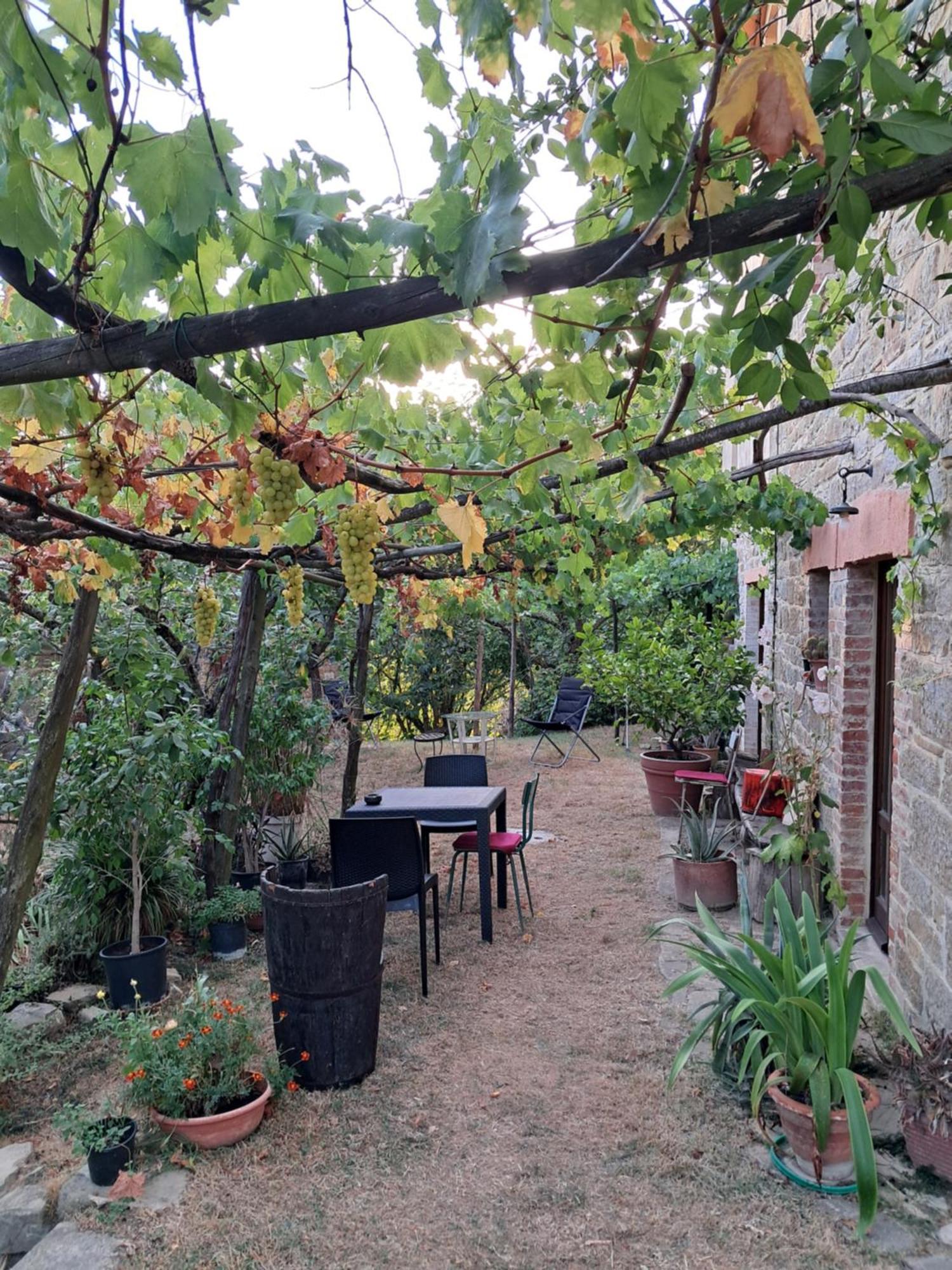 La Fonte B&B Pietralunga  Exterior photo